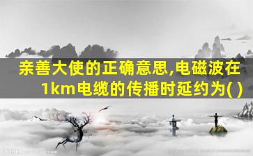 亲善大使的正确意思,电磁波在1km电缆的传播时延约为( )
